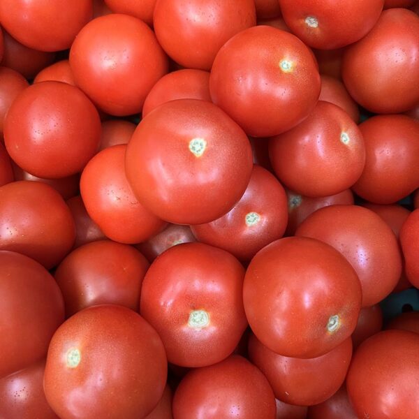 TOMATOES-10KG CASE TAG 1-NZ