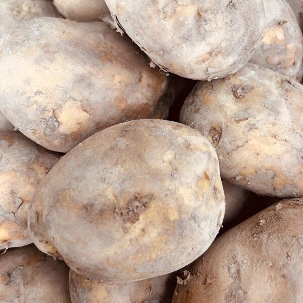 POTATOES-10KG BRUSH AGRIA-NZ