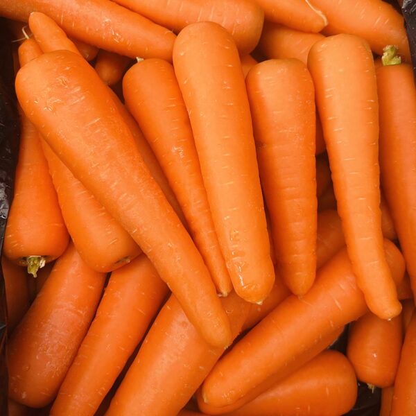 CARROTS-20KG PACK TABLE-NZ